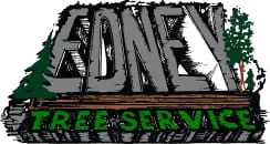 StackAura satisfied client logo: Coney Tree Service